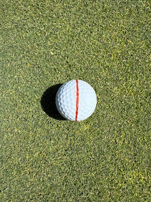 Photo by Nick Ro on Pexels